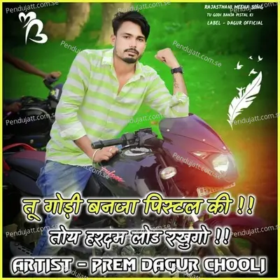 Tu Godi Banja Pistal Ki - PREM DAGUR CHOOLI album cover 