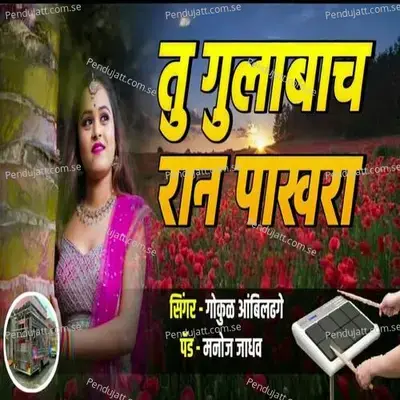 Tu Gulabach Ranpakhara - Gokul Ambildhage album cover 
