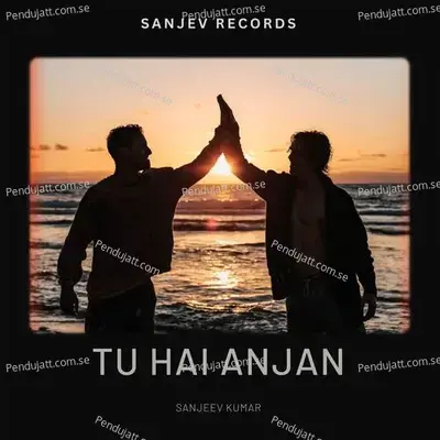 Tu Hai Anjan - Sanjeev Kumar album cover 