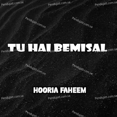 Maula - Hooria Faheem album cover 