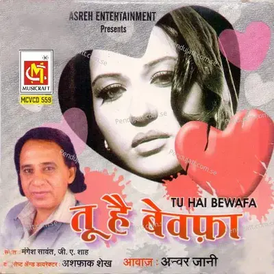 Tu Hai Bewafa - Anwar Jani cover album
