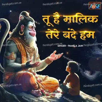Tu Hai Malik Tere Bande Hum - Pamela Jain album cover 