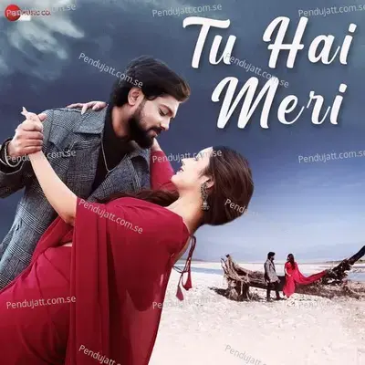 Tu Hai Meri - Ratan Rawani album cover 