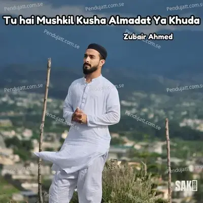 Tu Hai Mushkil Kusha Almadat Ya Khuda - Zubair Ahmed album cover 