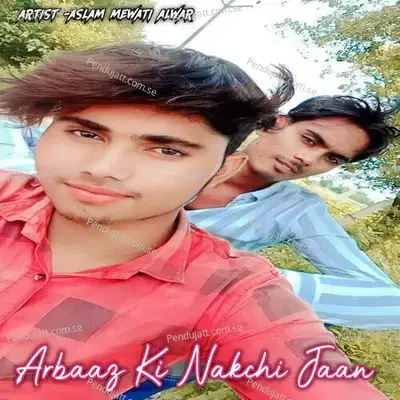 Tu Hai Nakhra Wali - Aslam Mewati Alwar album cover 