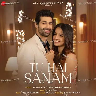 Tu Hai Sanam - Stebin Ben album cover 