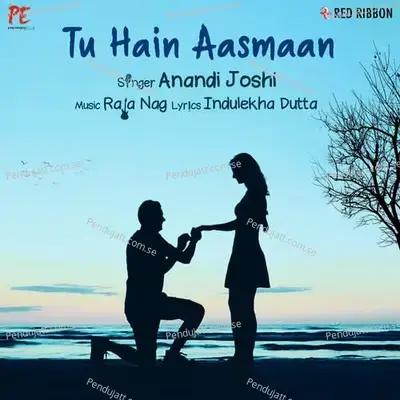 Tu Hain Aasmaan - Aanandi Joshi album cover 