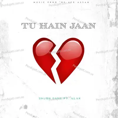 Tu Hain Jaan - Shubh Sane album cover 