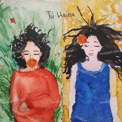 Tu Haina - Bawari Basanti album cover 