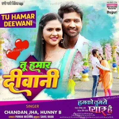 Tu Hamar Deewani - Chandan Jha album cover 