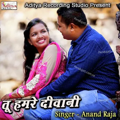 Tu Hamre Deewani - Anand Raja album cover 