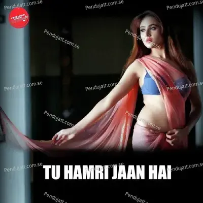 Tu Hamri Jaan Hai - Indu Sonali album cover 