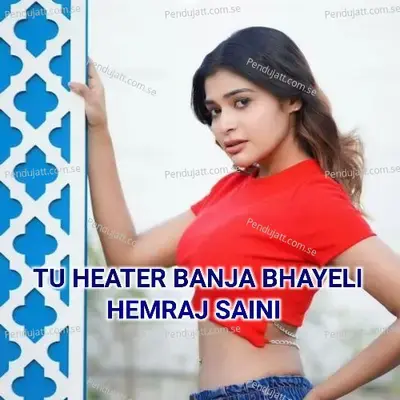 Tu Heater Banja Bhayeli - Hemraj Saini album cover 