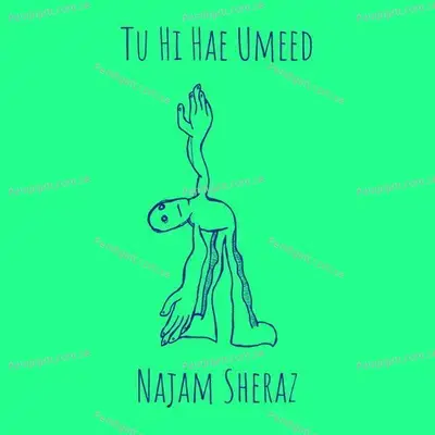 Tu Hi Hae Umeed - Najam Sheraz album cover 