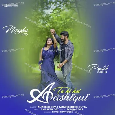 Tu Hi Hai Aashiqui - Amaresh Dey album cover 