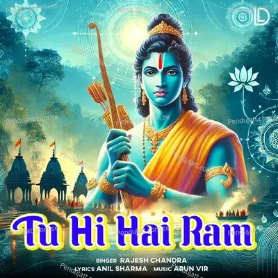 Tu Hi Hai Ram - Rajesh Chandra album cover 