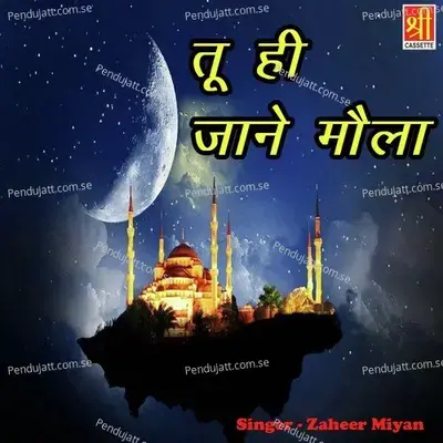 Tere Raaz Tuhi Jaane - Zaheer Miyan album cover 