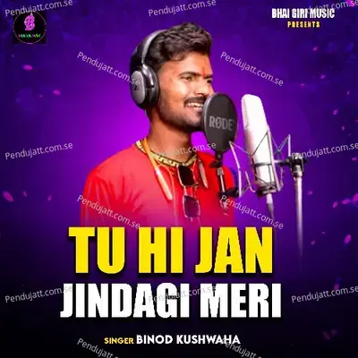 Tu Hi Jan Jindagi Meri - Vinod Kushwaha album cover 