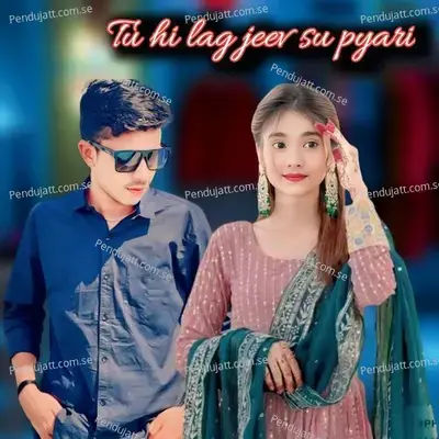 Tu Hi Lag Jeev Su Pyari - Dharmendr Chaanda album cover 