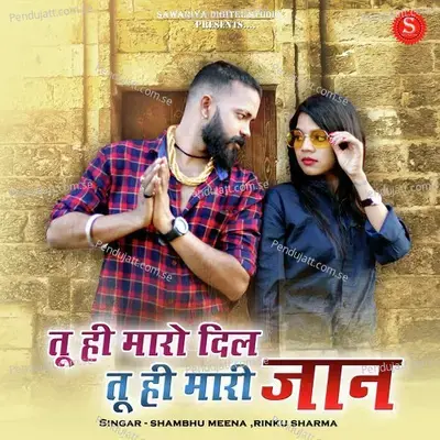 Tu Hi Maro Dil Tu Hi Mari Jaan - Shambhu Meena album cover 