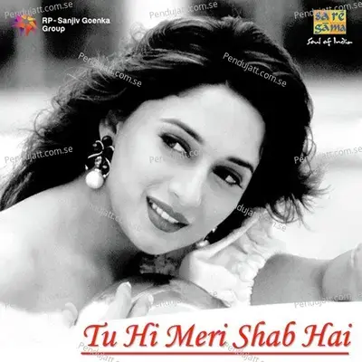 Tu Hi Meri Shab Hai - Various Artists cover album