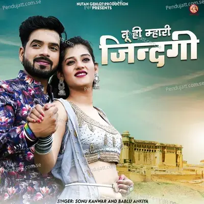 Tu Hi Mhari Jindgi - Sonu Kanwar album cover 