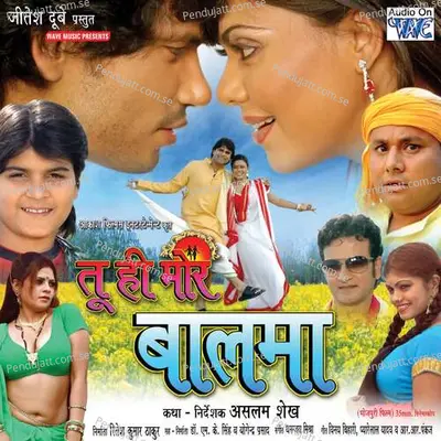 Rove Ke Hokhi - Parvesh Lal Yadav album cover 