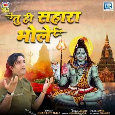 Tu Hi Sahara Bhole - Aaroy