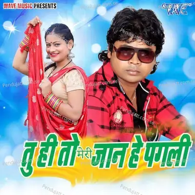 Tu Hi To Meri Jaan He Pagali - Sawan Kumar cover album
