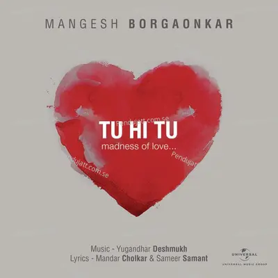 Tu Hi Tu - Mangesh Borgaonkar album cover 