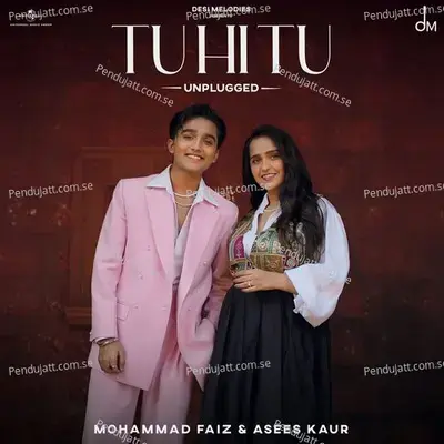 Tu Hi Tu - Mohammad Faiz album cover 