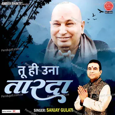 Tu Hi Una Tarda - Sanjay Gulati album cover 