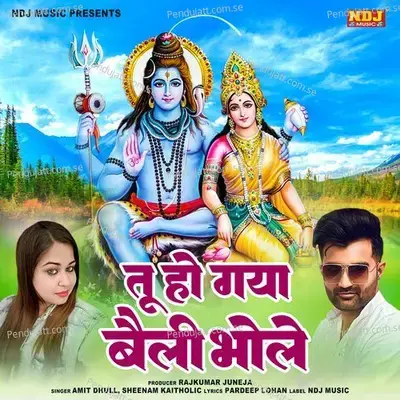 Tu Ho Gaya Belli Bhole - Amit Dhull album cover 