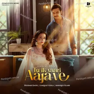 Tu Ik Vaari Aaja Ve mp3 song