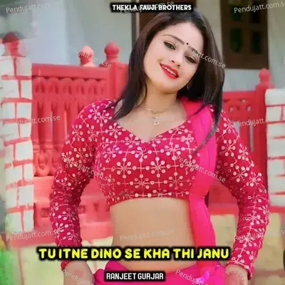 Tu Itne Dino Se Kha Thi Janu - Ashok Fagna