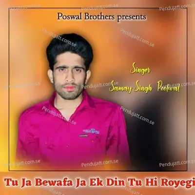 Tu Ja Bewafa Ja Ek Din Tu Hi Royegi - Samay Singh Peelwal album cover 