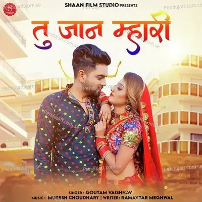 Tu Jaan Mhari - Goutam Vaishnav album cover 