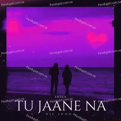 Tu Jaane Na X Dil Jhoom - sns6a album cover 