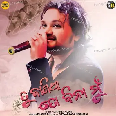 Tu Janitha To Bina Mu - Humane Sagar album cover 