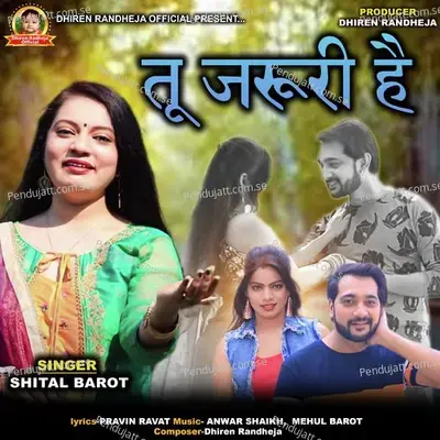 Tu Jaroori Hain - Shital Barot album cover 