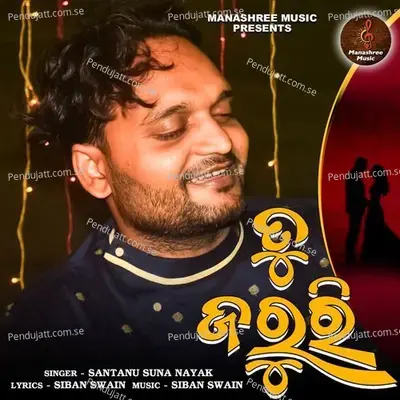 Tu Jaruri - Santanu Suna Nayak album cover 