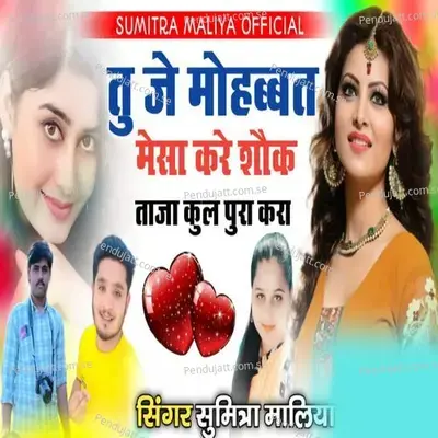 Tu Je Mohbbat Mesa Kare Souk Taja Kul Pura Kara - Sumitra Maliya album cover 