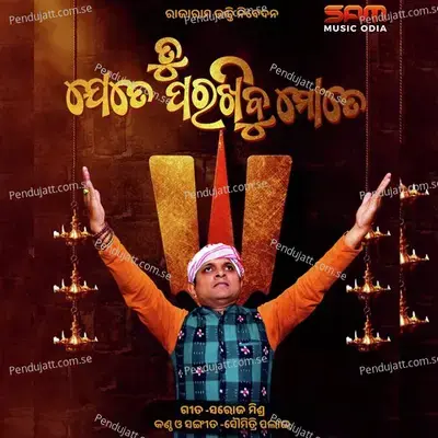 Tu Jete Parakhibu Mote - Saumitri Palai album cover 