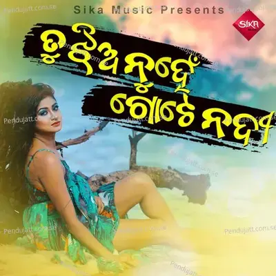 Tu Jhia Nuhen Gote Nai - Kumar Bapi album cover 