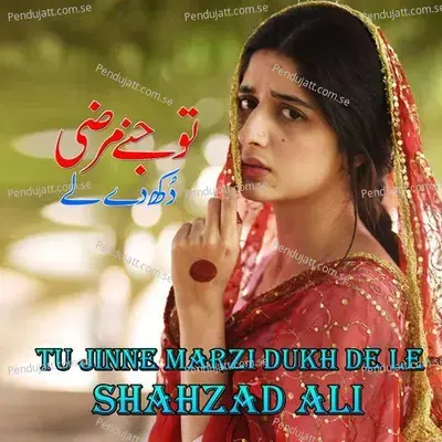 O Sajna Nai Bhulne - Shahzad Ali album cover 