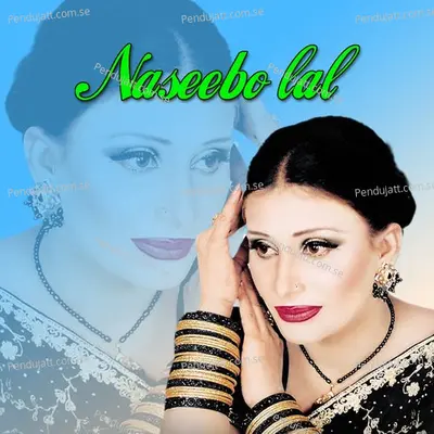 Tu Jinne Marzi Dukh De - Naseebo Lal album cover 