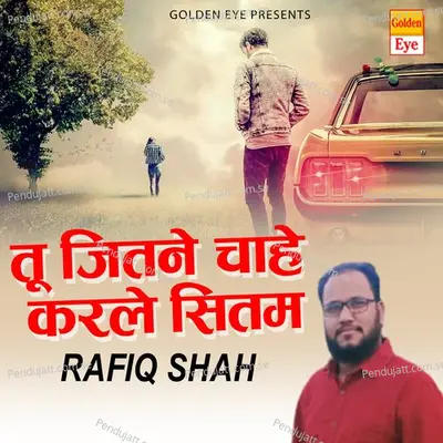 Tu Jitna Chahe Karle Sitam - Rafiq Shah album cover 