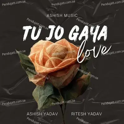 Tu Jo Gaya - Ashish Yadav album cover 