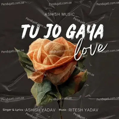 Tu Jo Gaya Love - Ashish Yadav album cover 