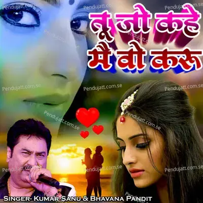 Tu Jo Kahe Mai Wo Karu - Kumar Sanu album cover 